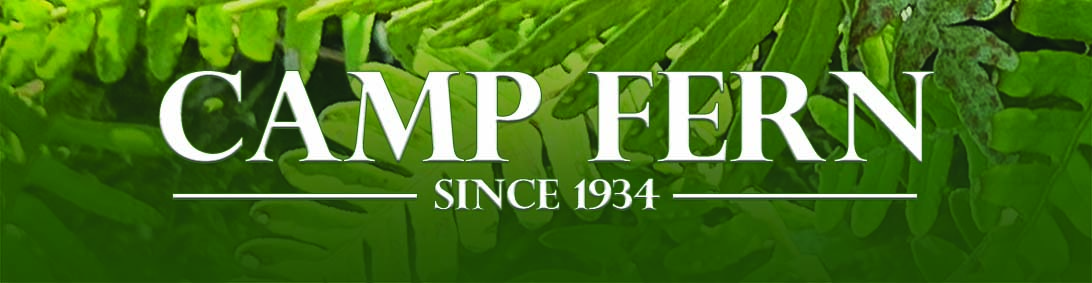 Camp Fern background for linked in_crop4 with summer camp dates_resize4